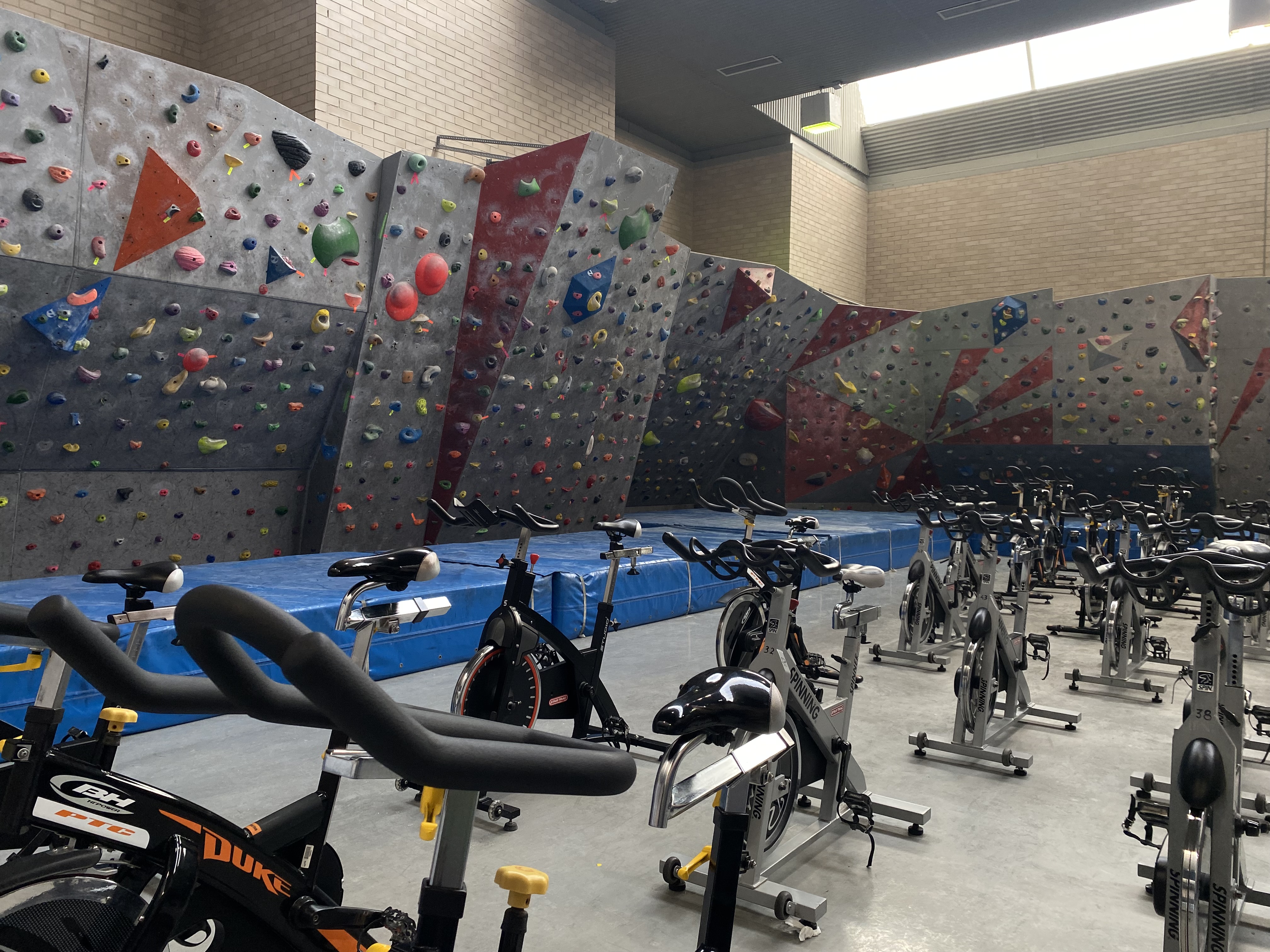 Resa Abedules_Zonas Comunes 24