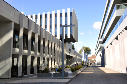 Resa Roberto de Nobili_Zonas comunes 8