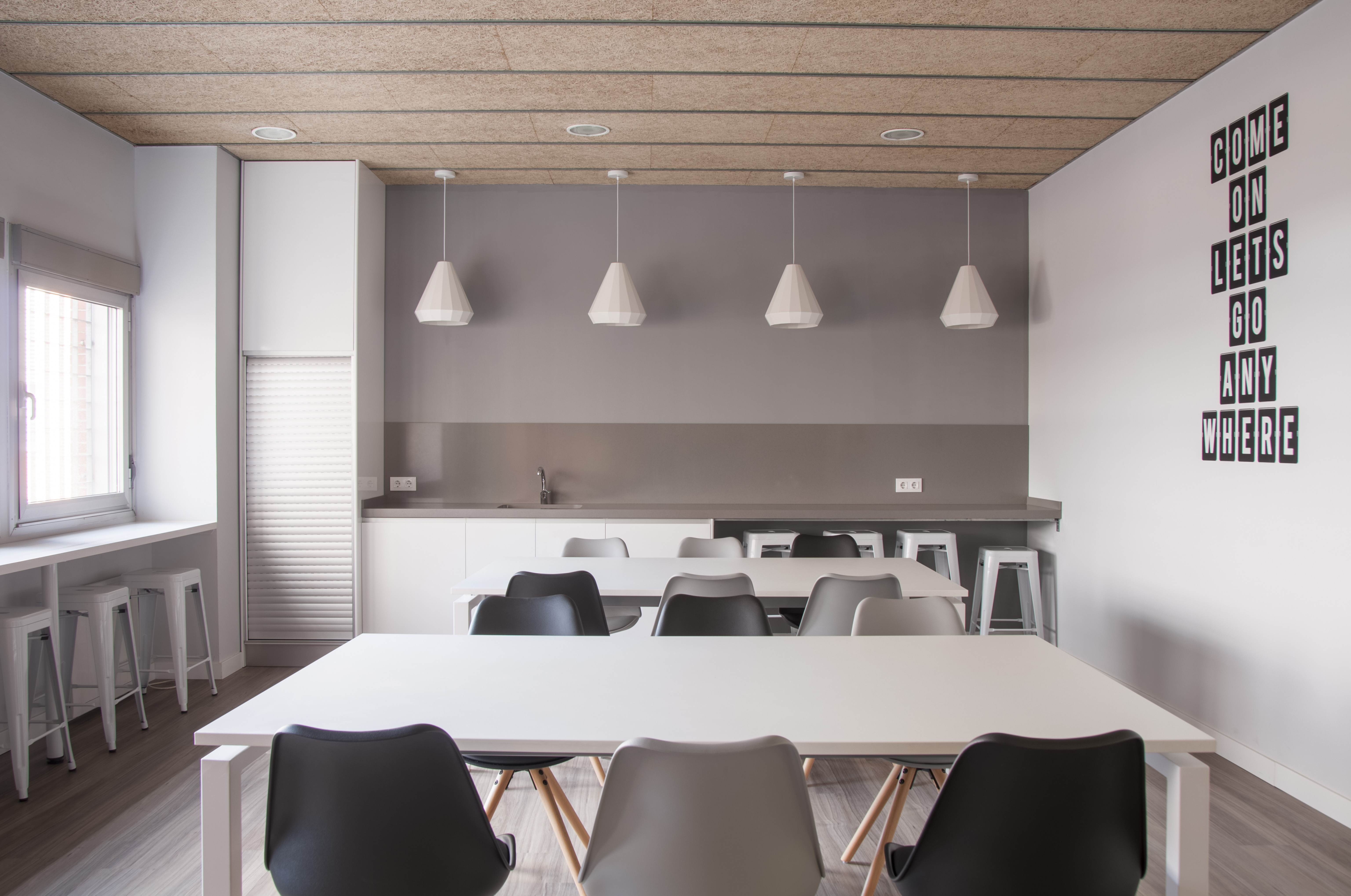 Resa Tomás Alfaro Fournier_Zonas comunes 7