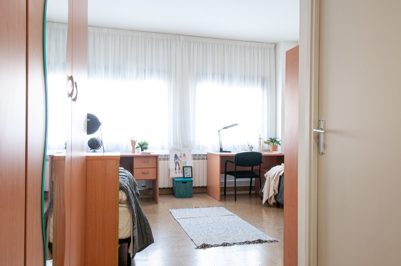 habitación basic twin