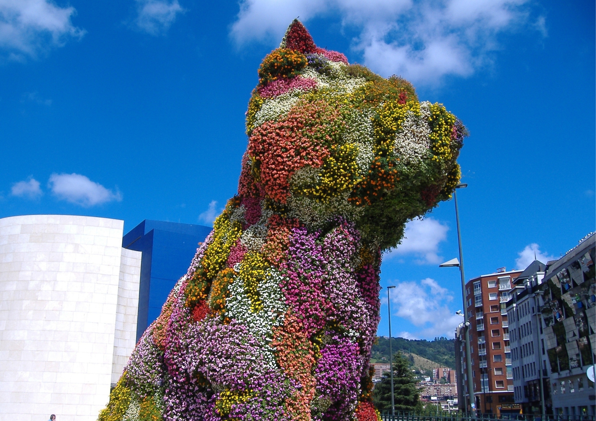 Puppy en Bilbao